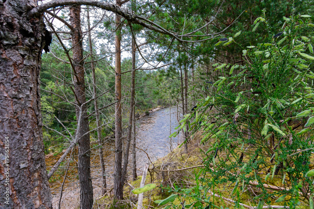 River Druie in the Cairngorms National Park, Scotland River Druie in the Cairngorms National Park, Scotland