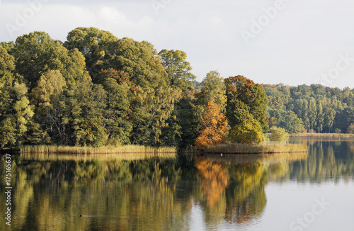 Lake and trees reflecting in the water. Warm green and yellow colors