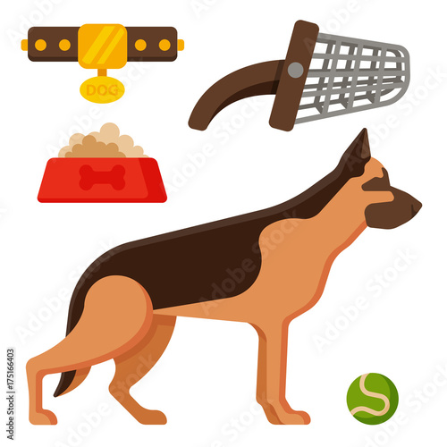 Vector illustration funny thoroughbred german shepherd dog attentive happy pet pedigree canine accessory.