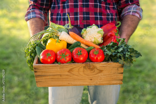 Farmer holding box with fresh vegetables © suzanam