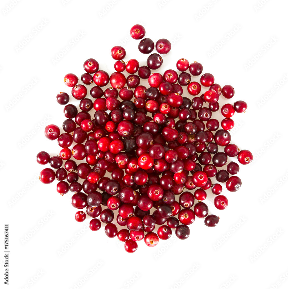 cranberries isolated on white cranberries isolated on white