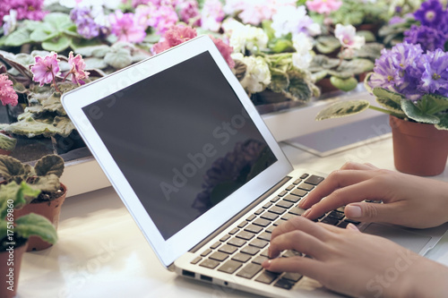 Female florist using laptop in flower shop..