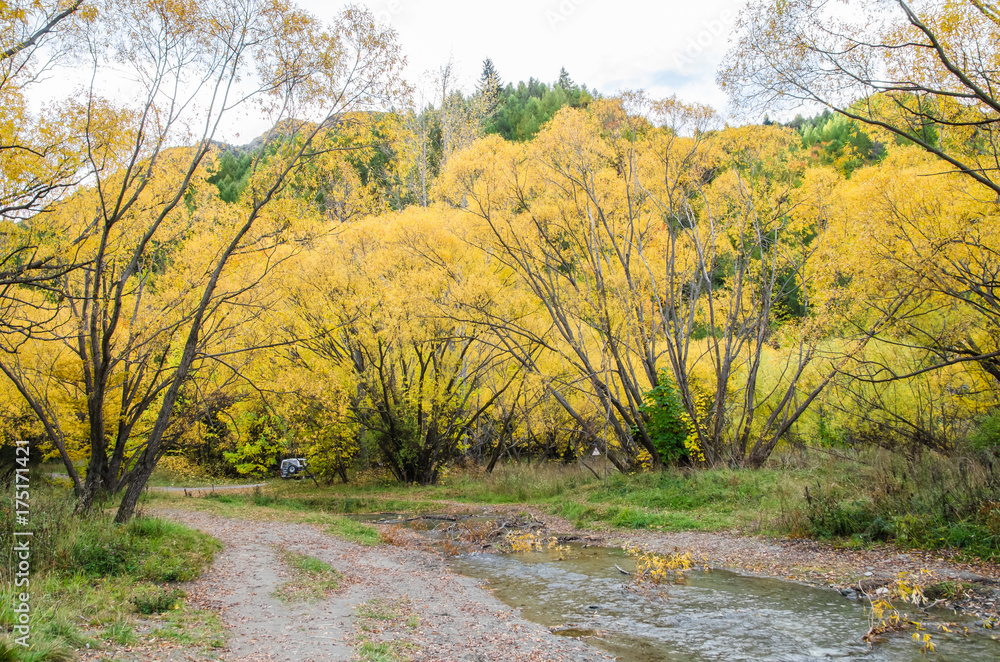 Obraz premium Autumn landscape view of Arrowtown, New Zealand 