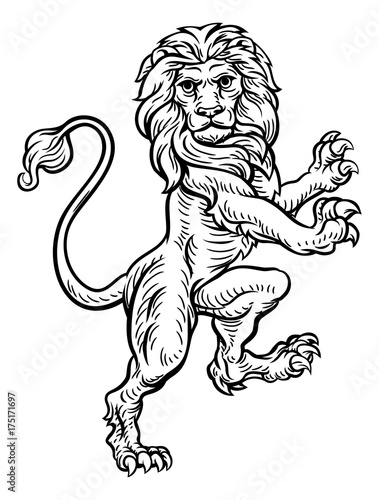 Fototapeta Naklejka Na Ścianę i Meble -  Lion Standing Rampant On Hind Legs