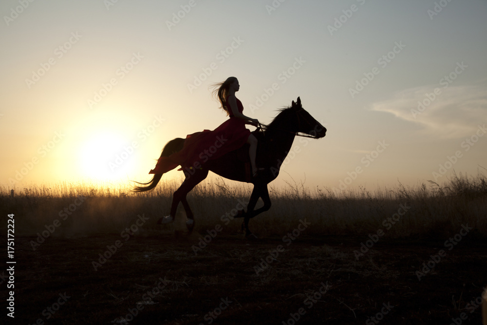 Silhouette young woman riding a horse in field at sunset