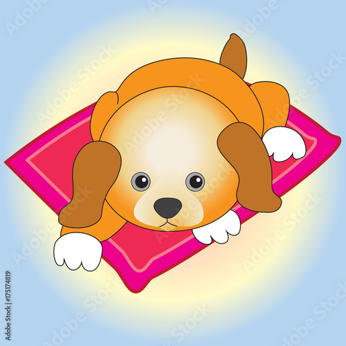 A little puppy resting on the rug.