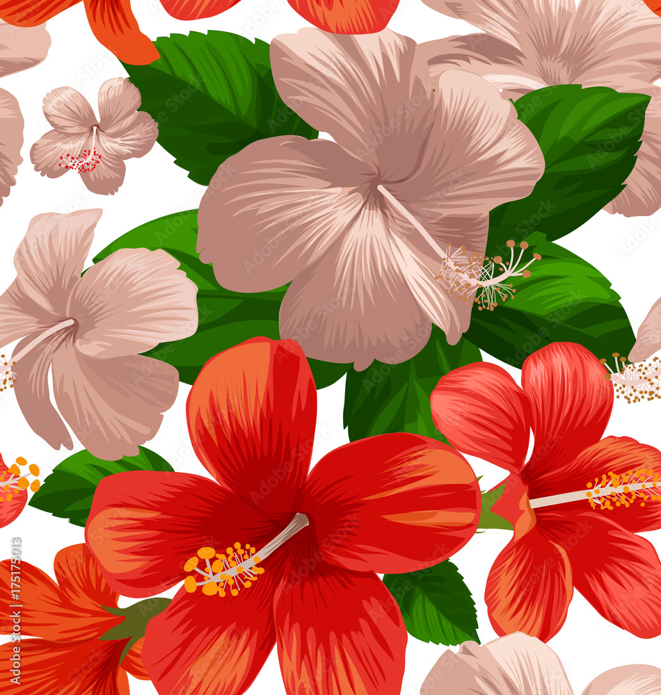 Fototapeta premium hibicus flowers pattern 1