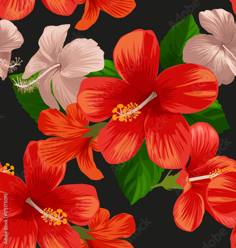 hibicus flowers pattern 2