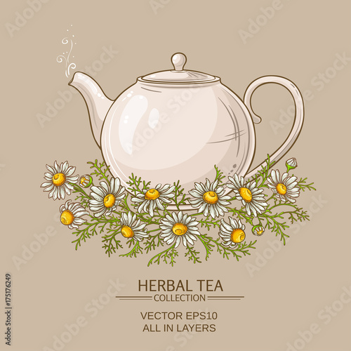 chamomile tea illustration