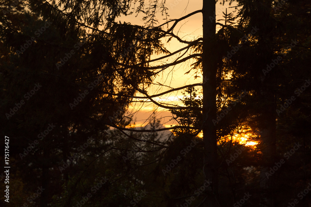 Landschaftliche Silhouette im Sonnenuntergang Landschaftliche Silhouette im Sonnenuntergang