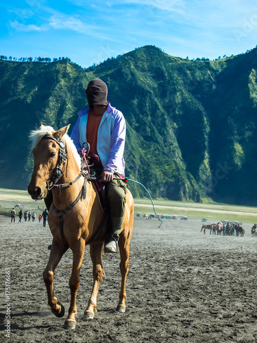 Bromo volcano, East Java, Indonesia - July 05, 2013: Horse for tourist rent for ride to Bromo volcano