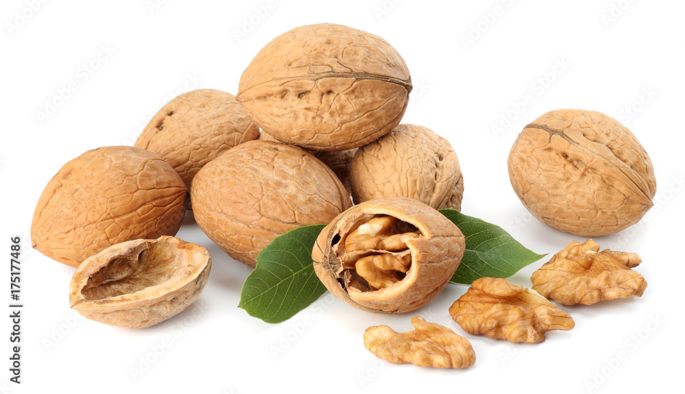 Green walnuts with leaves isolated on a white background Green walnuts with leaves isolated on a white background