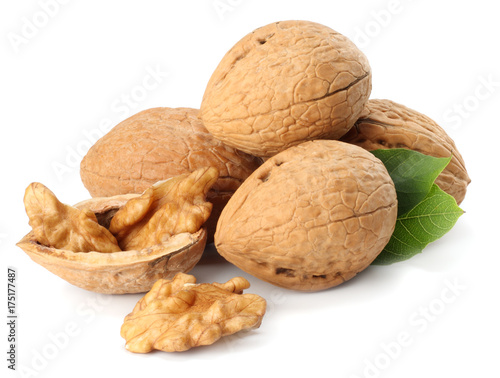 Green walnuts with leaves isolated on a white background