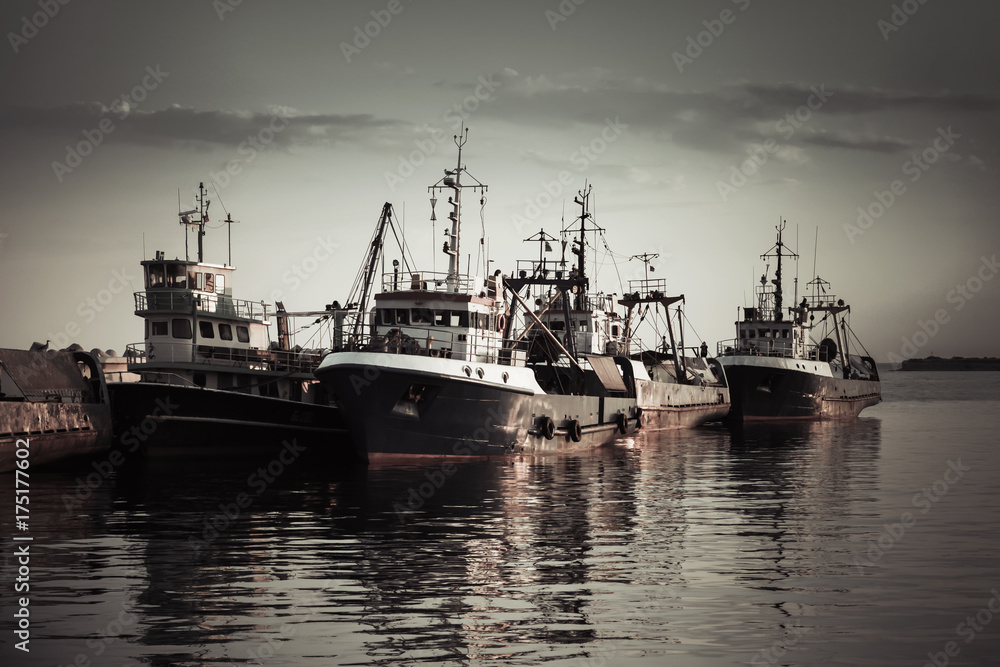 Industrial fishing boats are moored in port