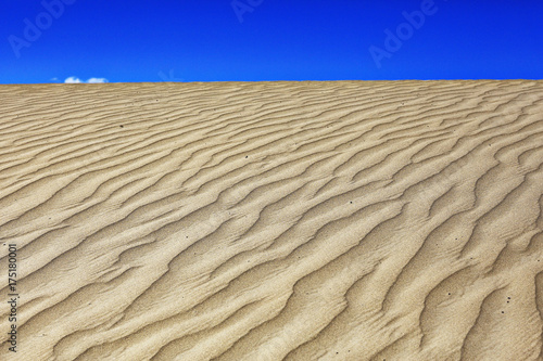 texture desert land sand dunes barkhans  deserts