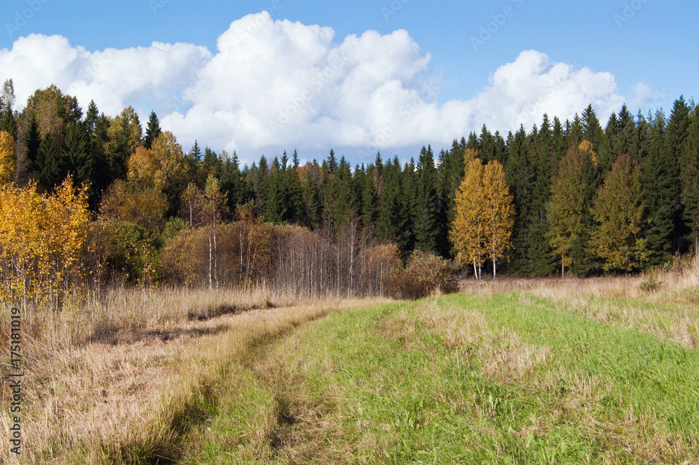 Autumn landscape, field and forest in countryside in Finland. Autumn landscape, field and forest in countryside in Finland.