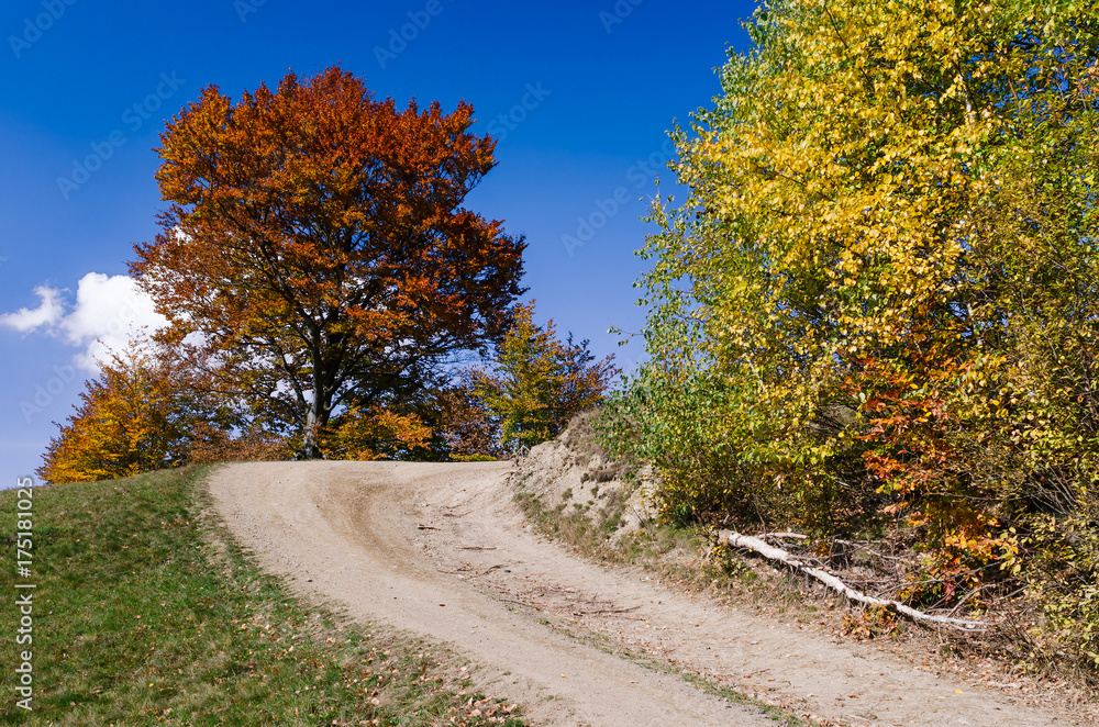 Autumn landscape with a road Autumn landscape with a road