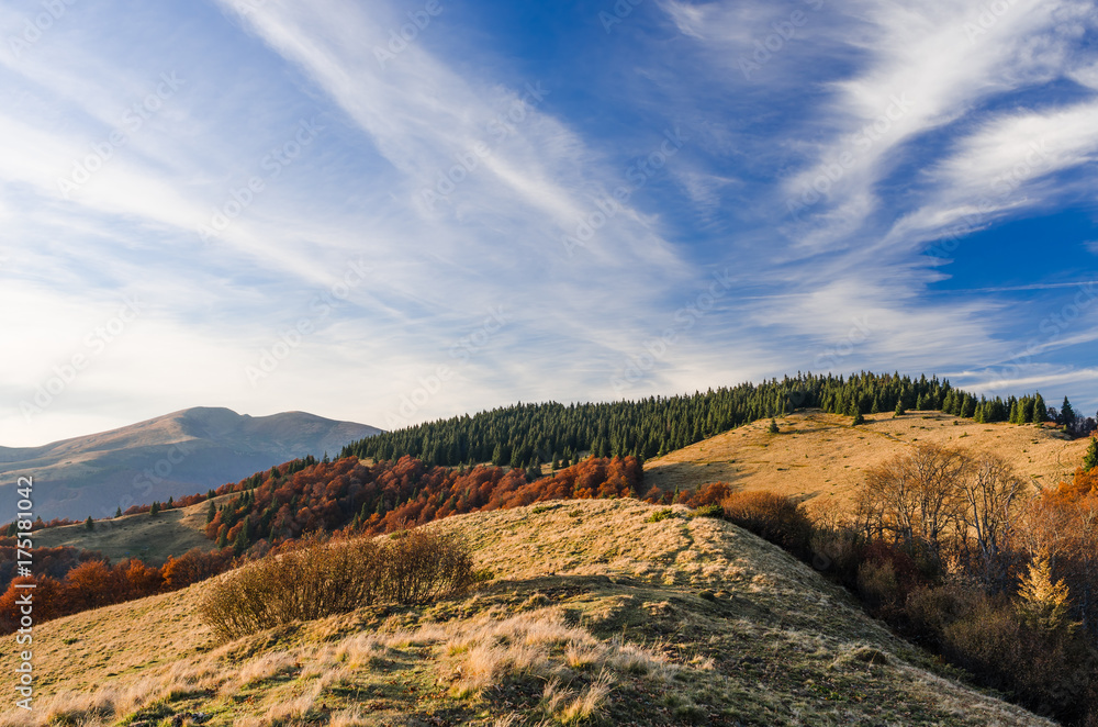 Autumn landscape in the sunny evening in the mountains