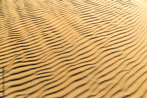 Sand in the desert as a background