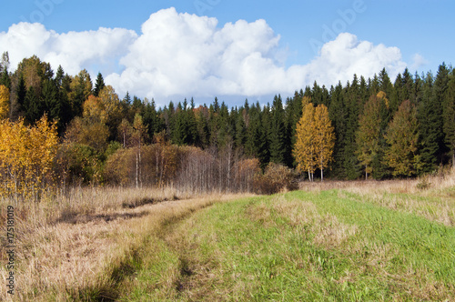 Autumn landscape, field and forest in countryside in Finland.