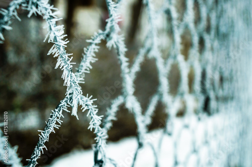Frozen fence © PetrariuCristina