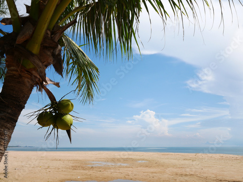 Beach and coconut