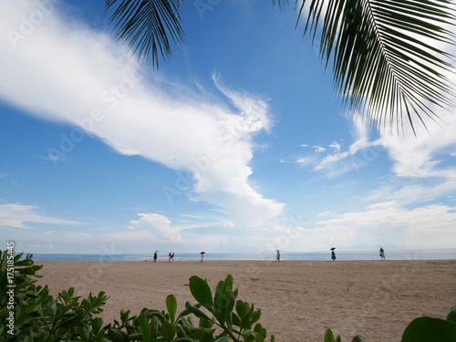 Beach and coconut