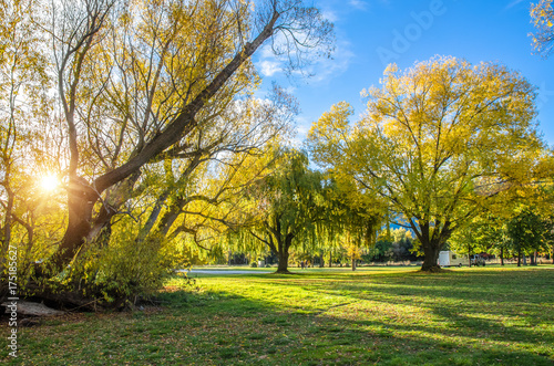 Fotografia Autumn view of the lakeside in Lake Hayes,it is located in the Wakatipu Basin in