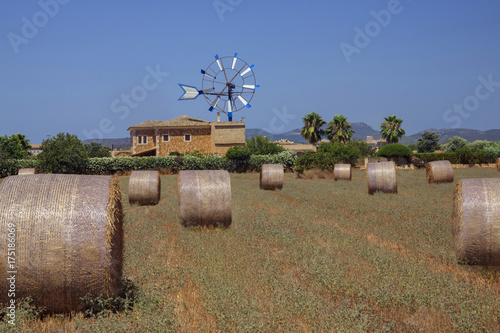 Strohballen vor Windmühle, Insel Mallorca, Balearen, Spanien, Europa photo