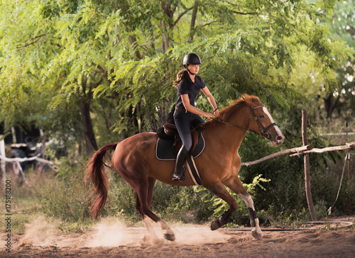 Young pretty girl riding a horse with backlit leaves behind © Dusan Kostic