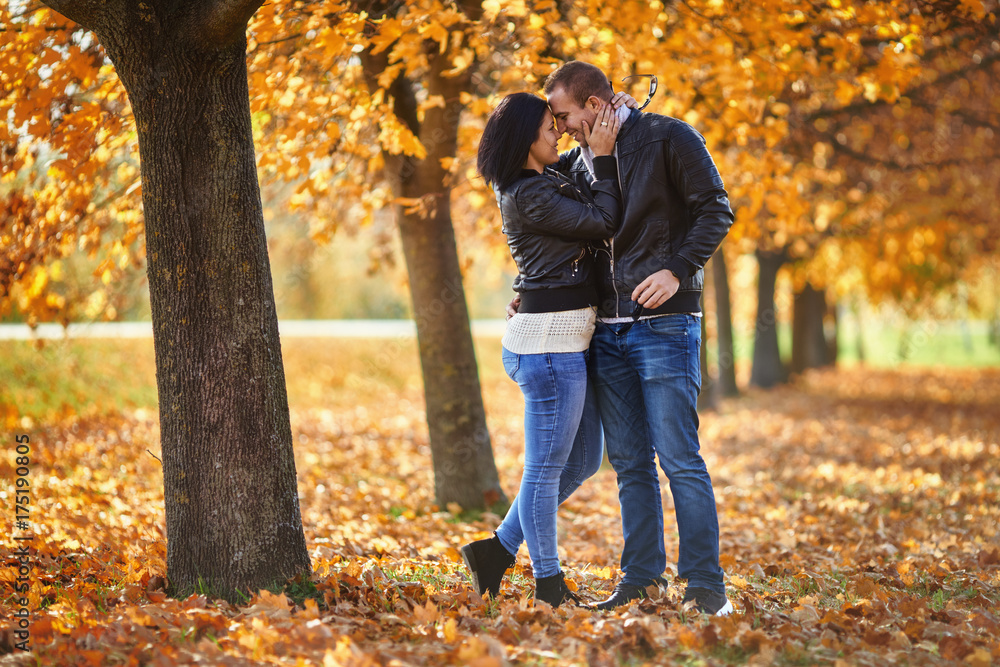 Young lovers dating in the park at autumn Young lovers dating in the park at autumn