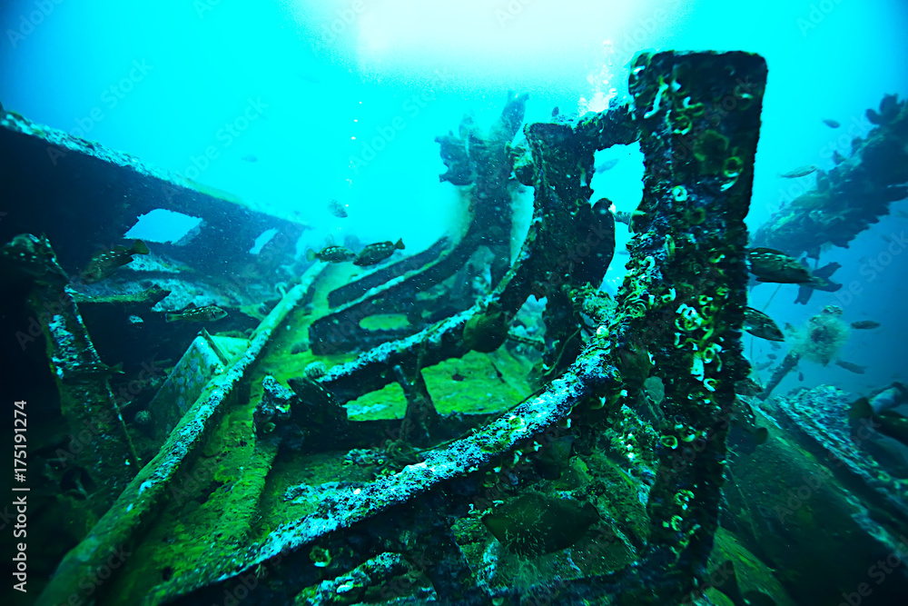 Naklejka premium shell mussels on the sea bottom underwater photo