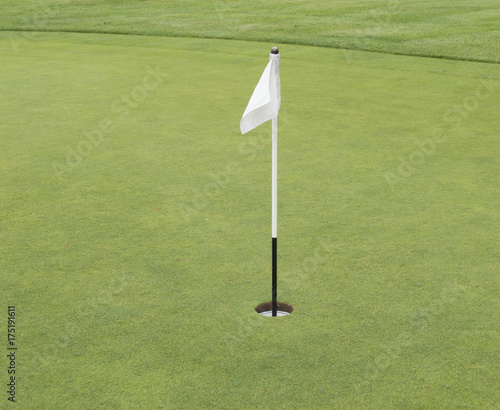 Golf putting green and flag