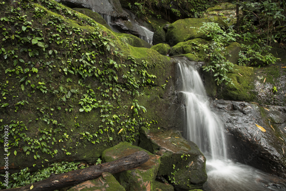 Waterfall with green moss in rain forest at Phu Soi Dao National Park in Uttaradit, Thailand. Waterfall with green moss in rain forest at Phu Soi Dao National Park in Uttaradit, Thailand.