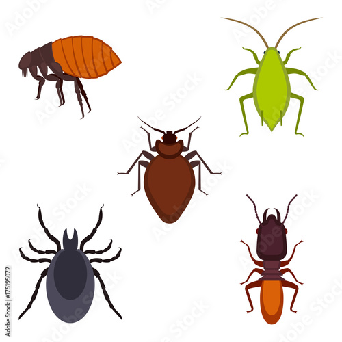 Collection of colorful bug icons on vector illustration