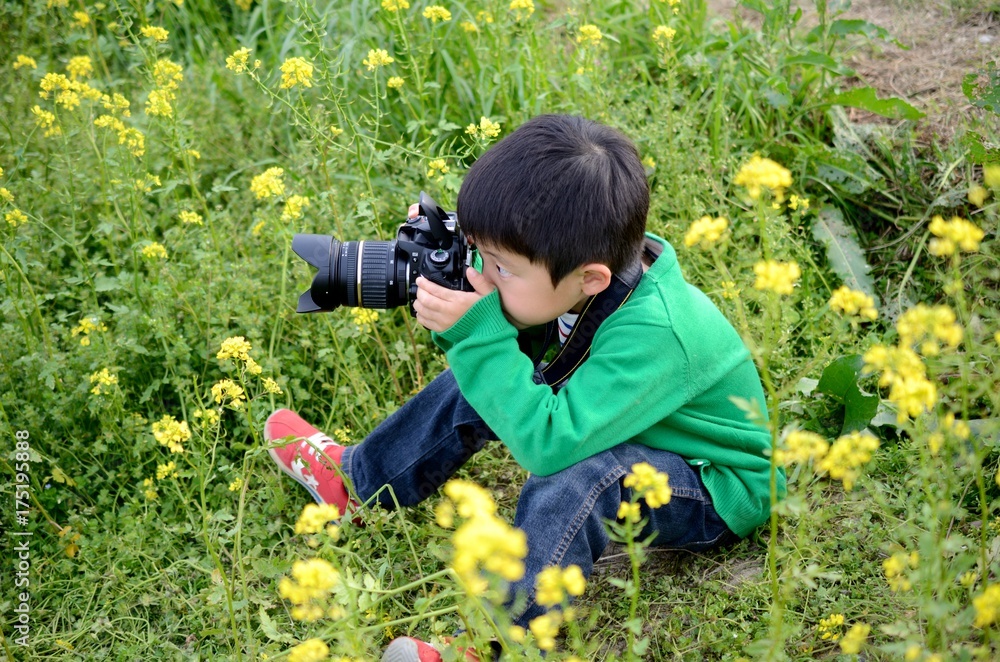 菜の花畑と子供 Stock Photo Adobe Stock