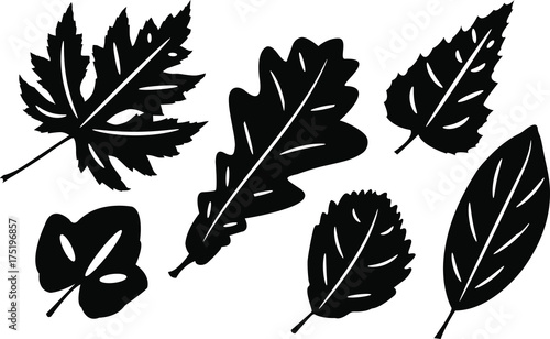 Set of silhouettes of leaves. Isolated on white.