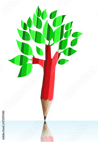 creative pencil with red tree imagination green leaf isolate on white2 photo