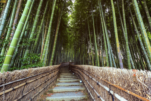Fototapeta Naklejka Na Ścianę i Meble -  Path to bamboo forest, Arashiyama,