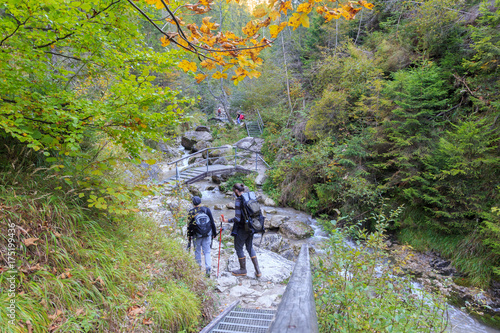 Pieniny National Park in Szczawnica area - Homole Ravine photo