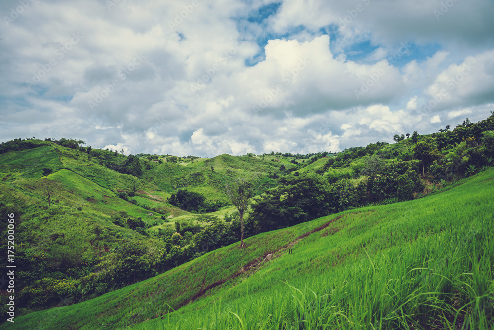 Rural landscape. Fields in season Natural mountains. There are birds in the sky. Rural landscape. Fields in season Natural mountains. There are birds in the sky.