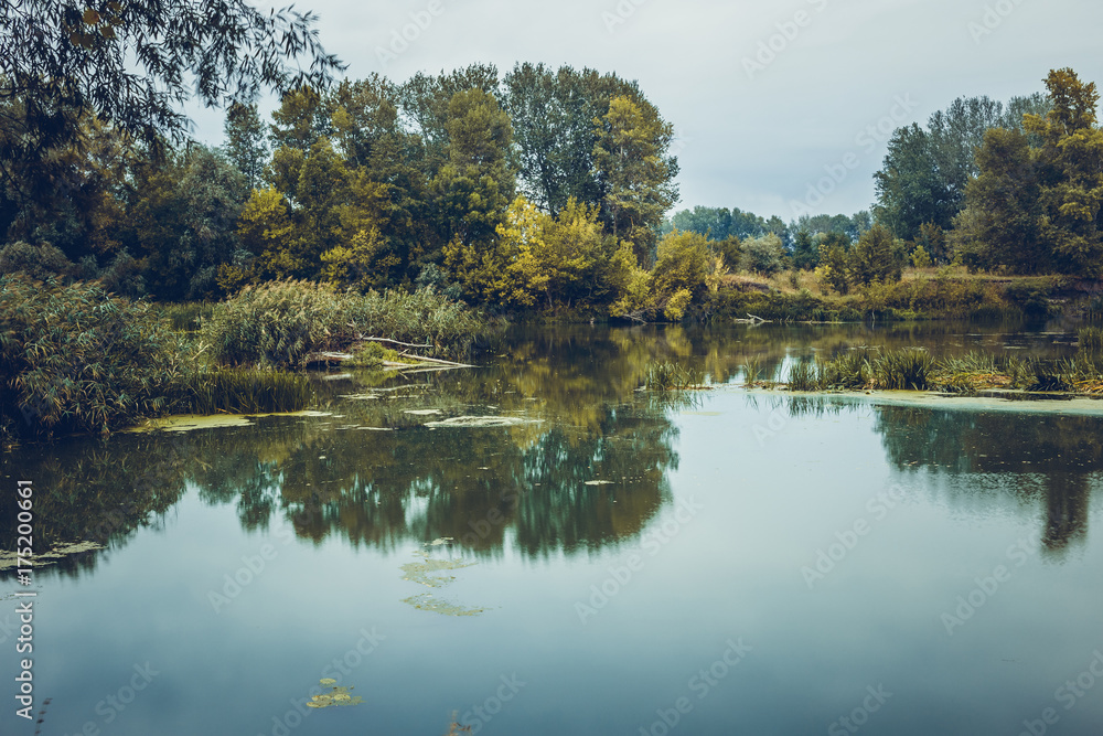 Calm river in the summer morning with green trees on background. Toned, style photo. Calm river in the summer morning with green trees on background. Toned, style photo.