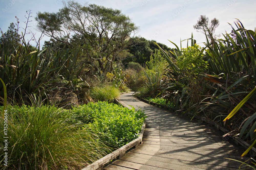 Boardwalk at Nga Manu Nature Reserve, Waikanae, New Zealand Boardwalk at Nga Manu Nature Reserve, Waikanae, New Zealand