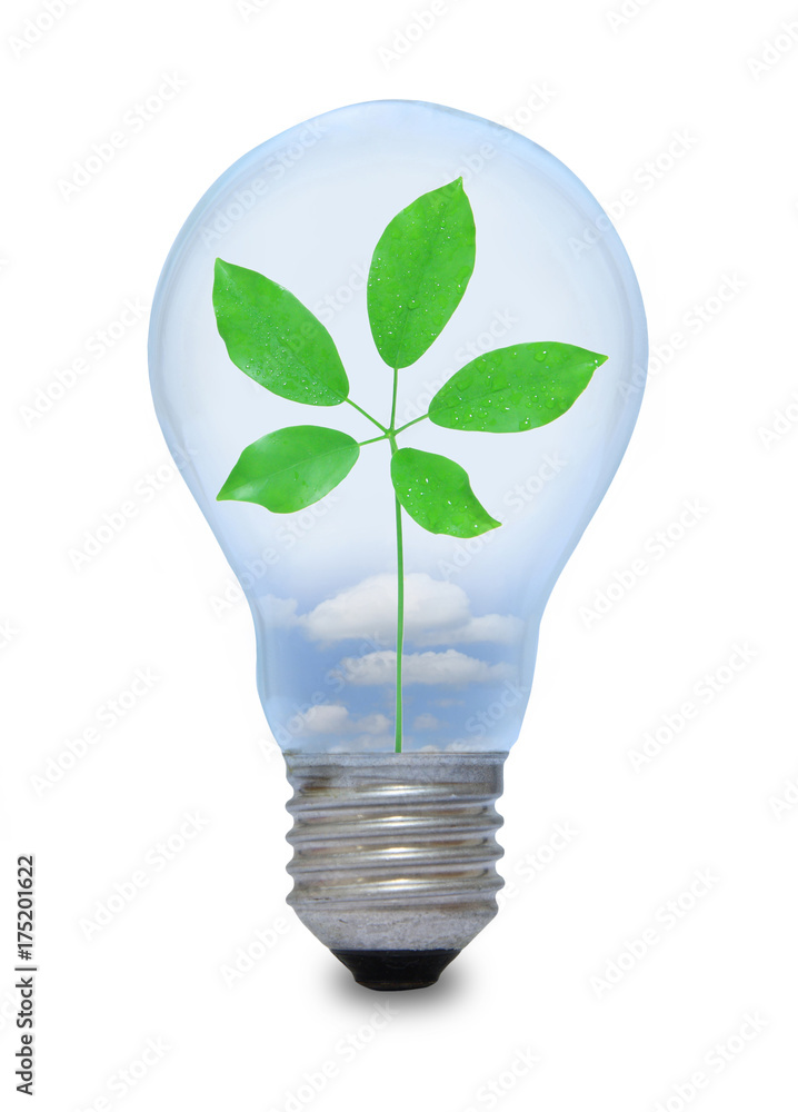 A light bulb with leave inside A light bulb with leave inside