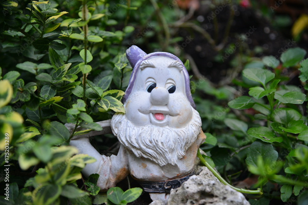 garden dwarf garden dwarf