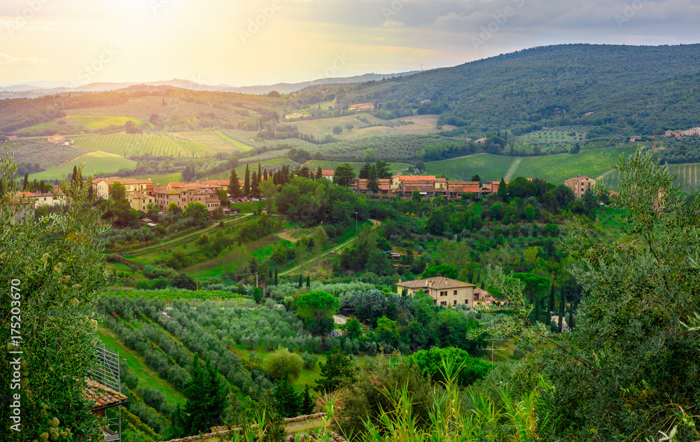 San Gimignano, Tuscany, Italy. Typical landscape of Tuscany in Italy