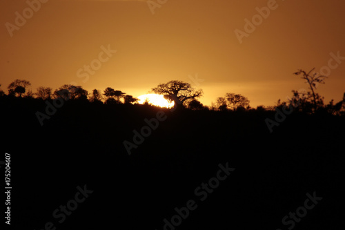 Sonnenuntergang im Masai Mara Nationalpark, Kenia, Ostafrika 