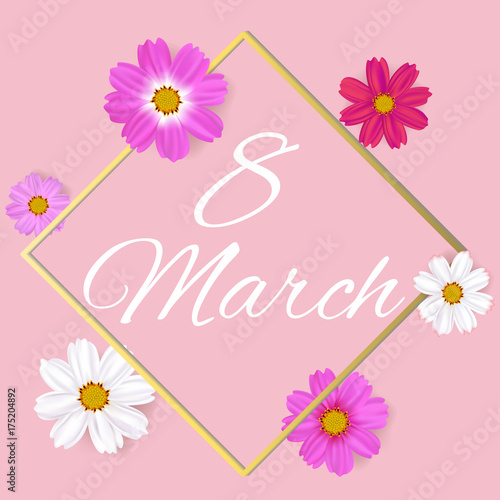 March 8. Women's Day. Celebration. Flowers of cosmos. Beautiful floral illustration. Frame. Border. White and pink inflorescences. Spring. Summer. Buds. Wild flowers.