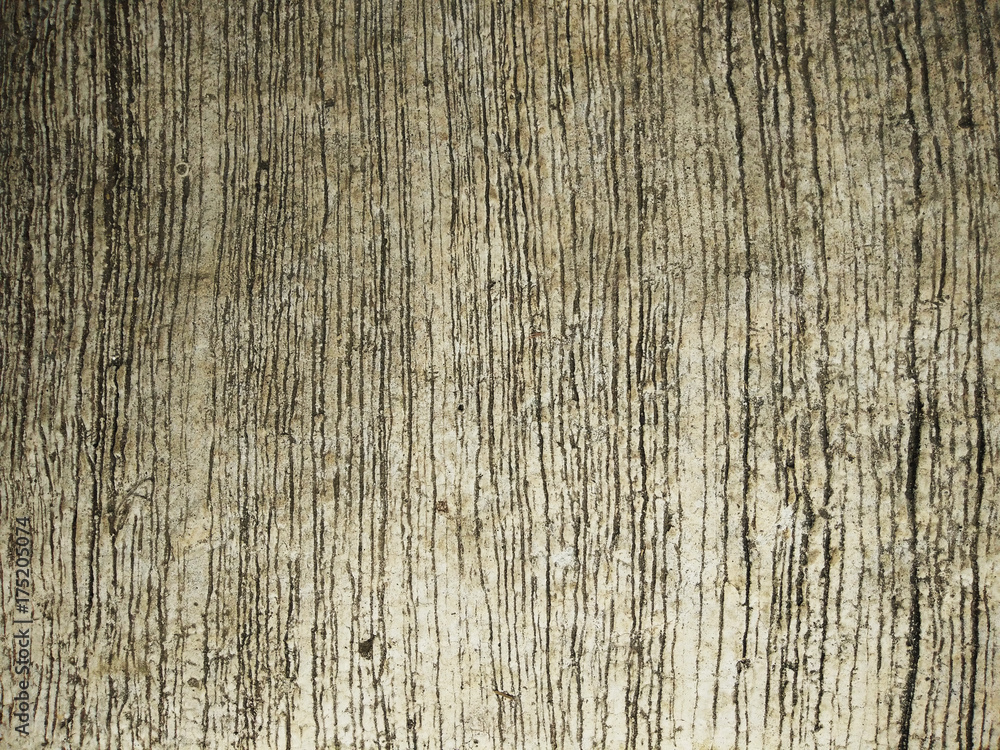 Grey concrete texture Grey concrete texture