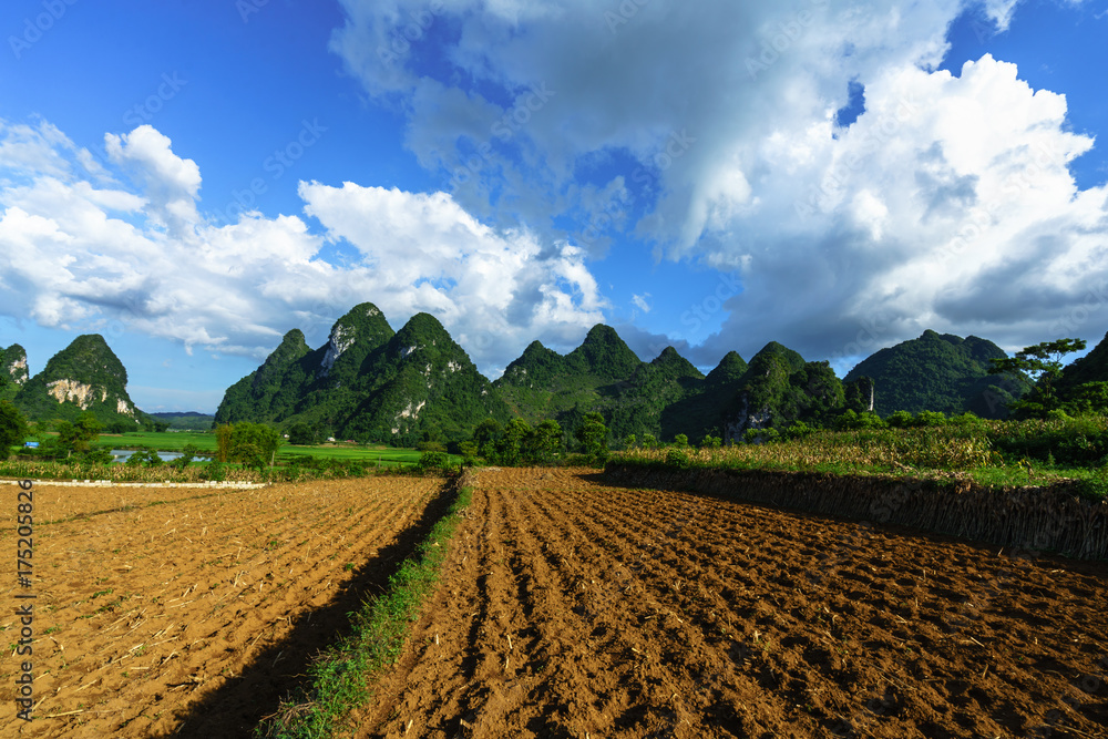 Soil on rice field after harvesting season with mountain and blue sky in Vietnam